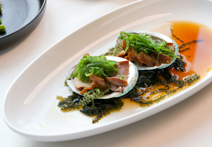 Abalone-1