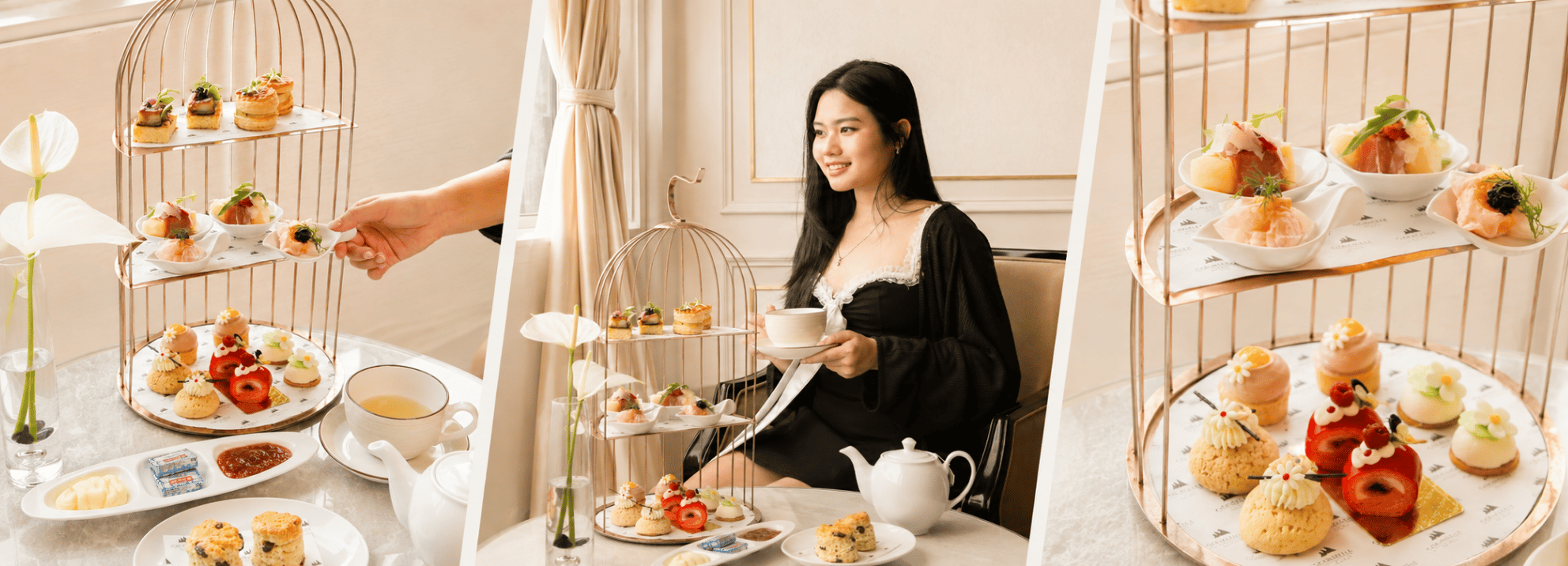 Thiết kế chưa có tên (4)